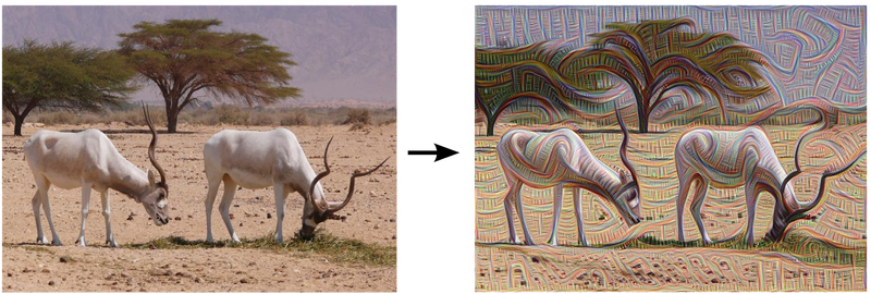 Illustration for article titled Artificial Neural Networks Can Day Dream–Here's What They See